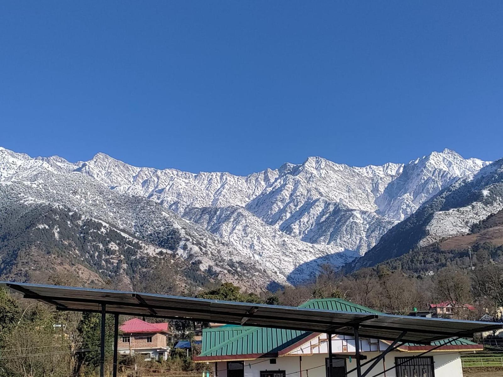 Homestay Palampur View Exterior foto