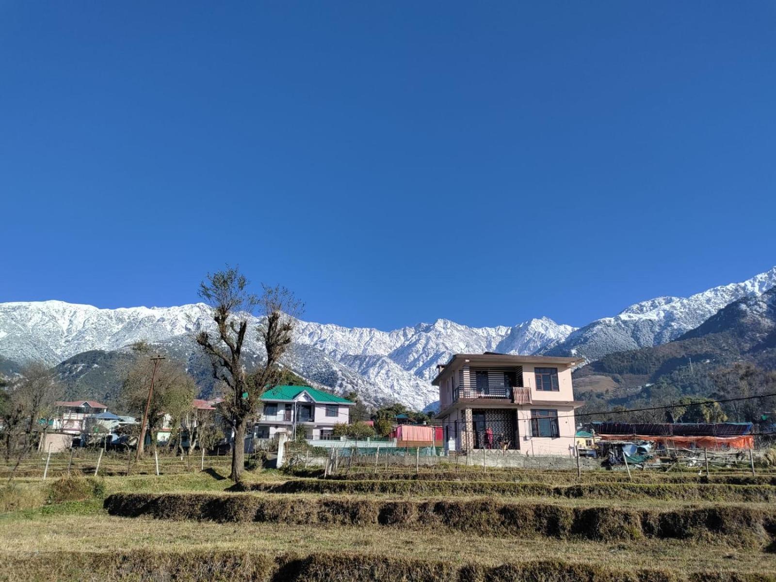 Homestay Palampur View Exterior foto