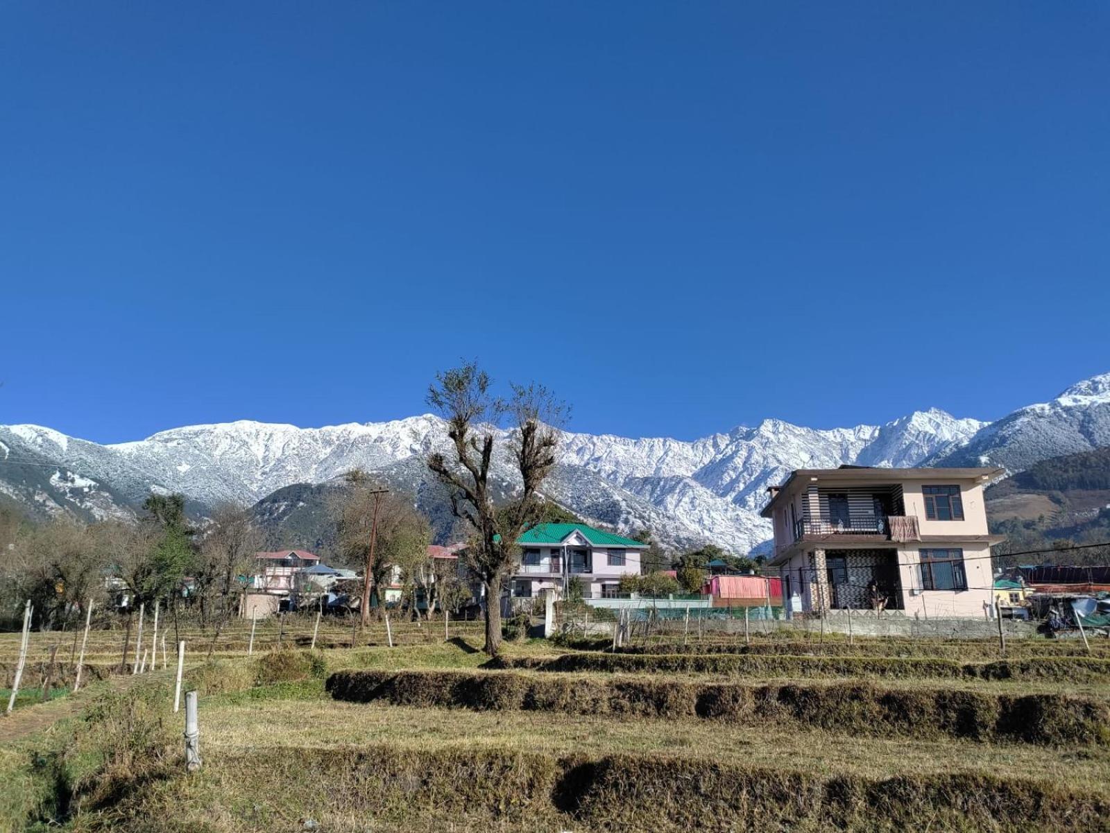 Homestay Palampur View Exterior foto