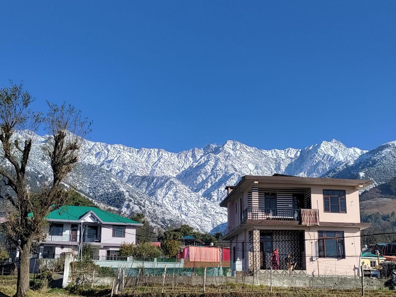 Homestay Palampur View Exterior foto