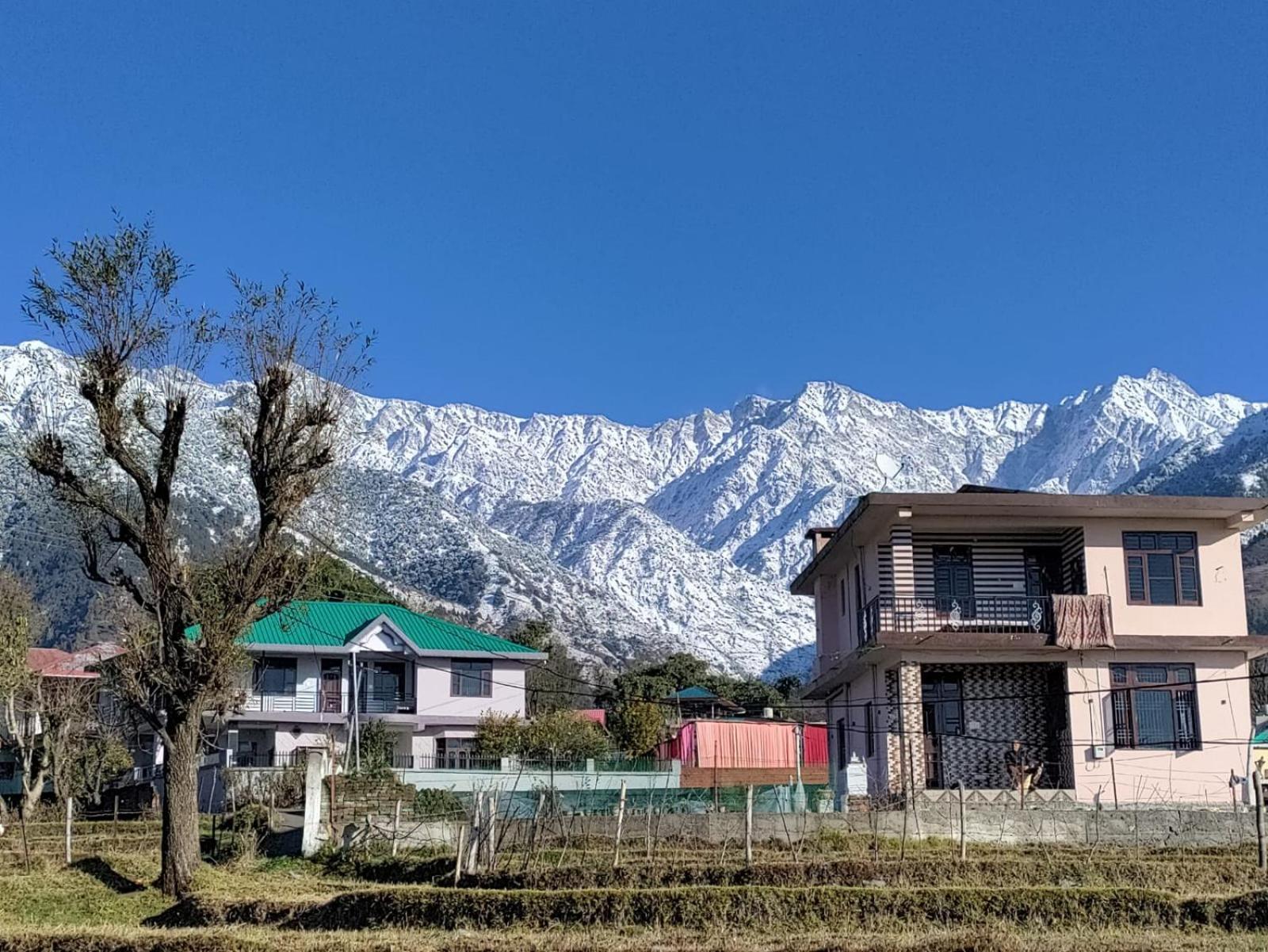 Homestay Palampur View Exterior foto